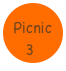 Picnic
3
