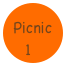 Picnic
1